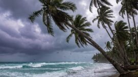 PERINGATAN DINI - BMKG Maluku Utara mengeluarkan peringatan dini potensi angin kencang di 10 kabupaten/kota hingga 22 Agustus 2026. Warga diimbau meningkatkan kewaspadaan, terutama saat beraktivitas di luar ruangan, wilayah pesisir, dan perairan. Jumat (21/8/2026).