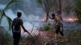 KEBAKARAN - Sejumlah personel Polsek Gane Barat, Halmahera Selatan, Maluku Utara saat berupaya memadamkan api di lahan perkebunan kelapa milik warga berlokasi di jalan lintas Bosso-Dolik, Rabu (26/8/2026). (Dok: Istimewa)
