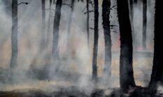 3.314 Hektare Hutan dan Lahan di Malut Terbakar, WALHI Desak Usut Titik Api Sekitar Konsesi Tambang