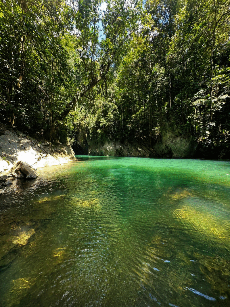 Goa Boki Maruru di Desa Sagea, Halmahera Tengah, Maluku Utara, Senin (26/10/2026). (Dok: Wahana Malut/Risaldi).